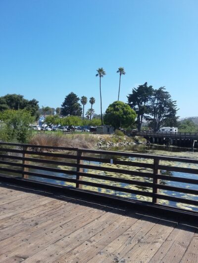 Mary Herrington Park - Pismo Beach, CA