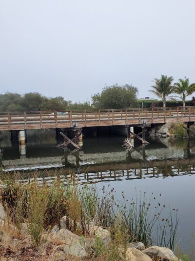 Mary Herrington Park - Pismo Beach, CA