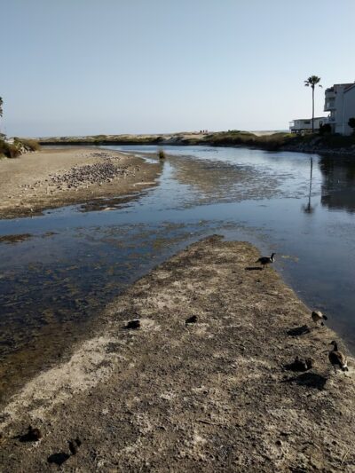 Mary Herrington Park - Pismo Beach, CA