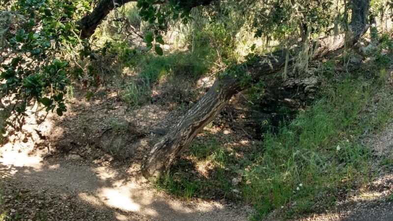 Pismo Lake Ecological Reserve - Pismo Beach, CA