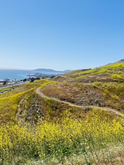 Pismo Preserve - Pismo Beach, CA