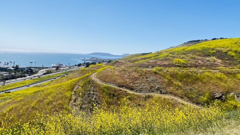 Pismo Preserve - Pismo Beach, CA
