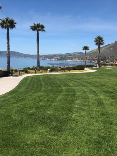 South Palisades Park - Pismo Beach, CA