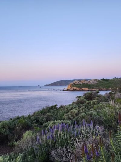 STP Beach - Pismo Beach, CA