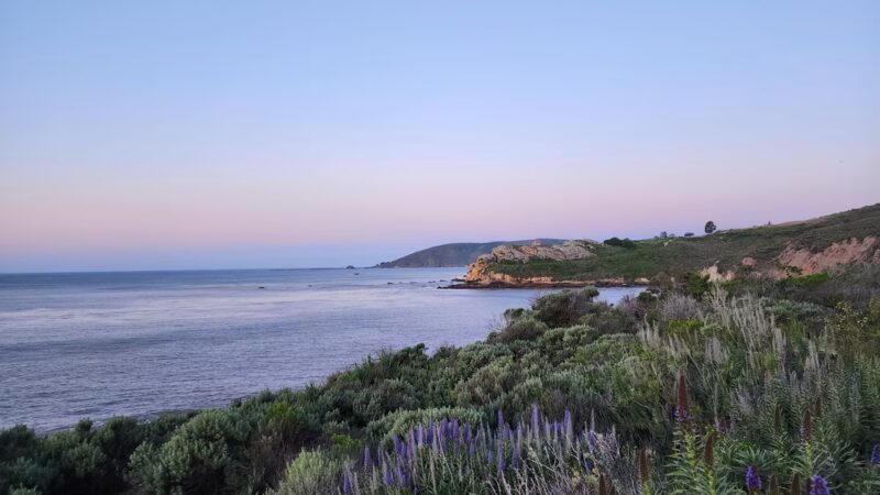 STP Beach - Pismo Beach, CA
