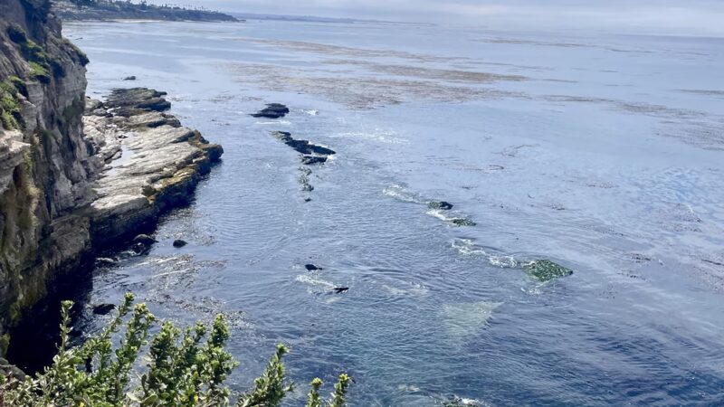The Bluffs trailhead - Pismo Beach, CA