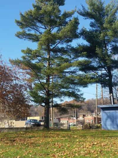 Pitcairn Park - Pitcairn, PA