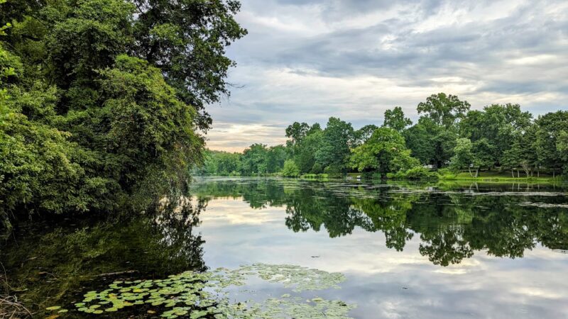 Alcyon Lake - Pitman, NJ