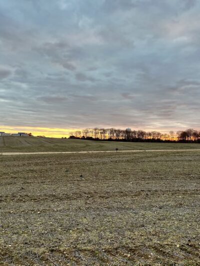 Alcyon Lake - Pitman, NJ