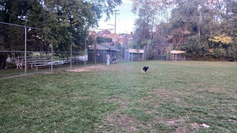 Glen Rosing Park - Pittsburgh, PA