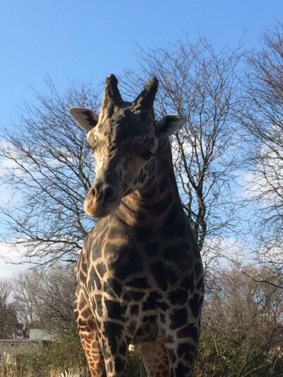 Highland Park - Pittsburgh, PA