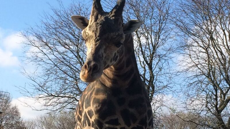 Highland Park - Pittsburgh, PA