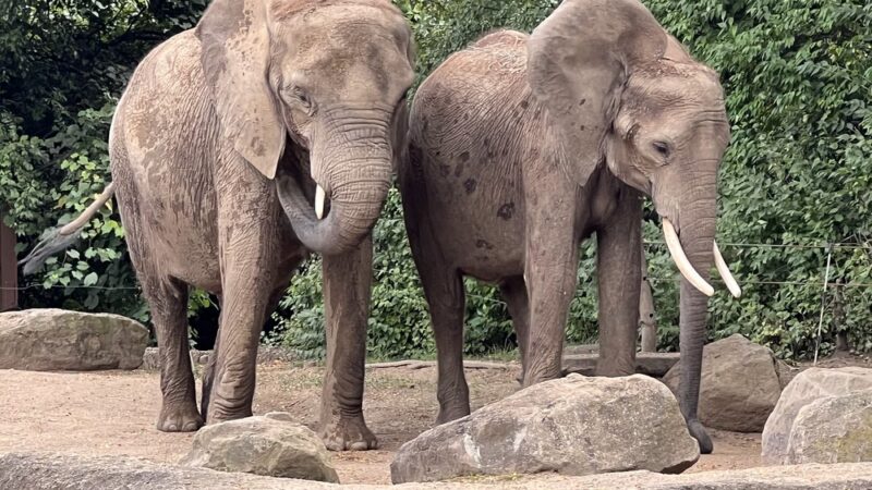 Highland Park - Pittsburgh, PA