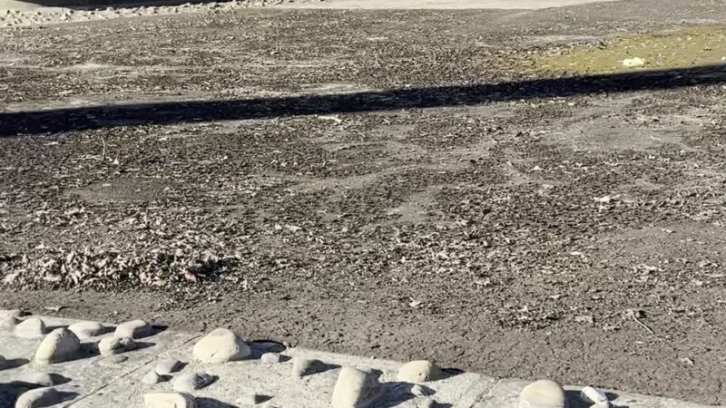 Allegheny Commons Park - Pittsburgh, PA