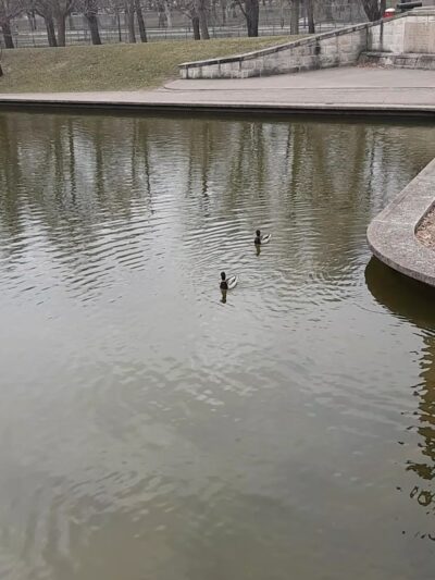 Allegheny Commons Park North Park - Pittsburgh, PA