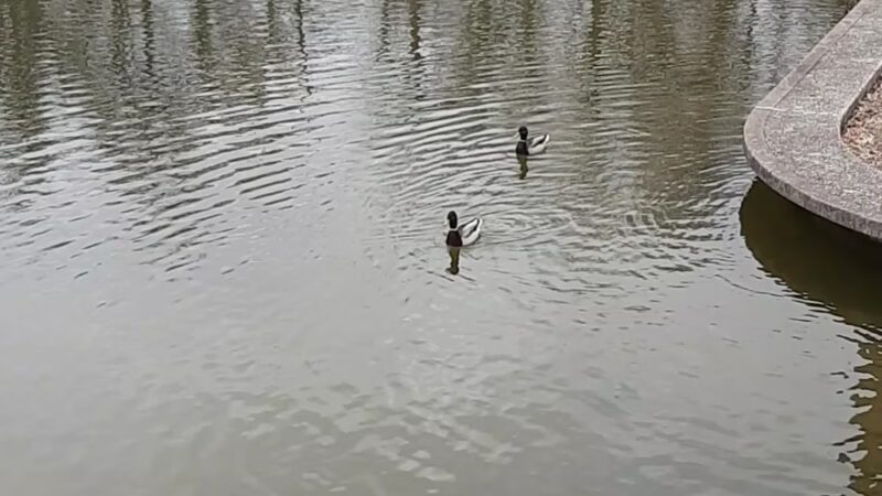 Allegheny Commons Park North Park - Pittsburgh, PA