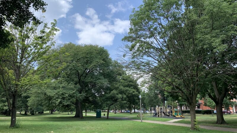 Allegheny Commons Park North Park - Pittsburgh, PA