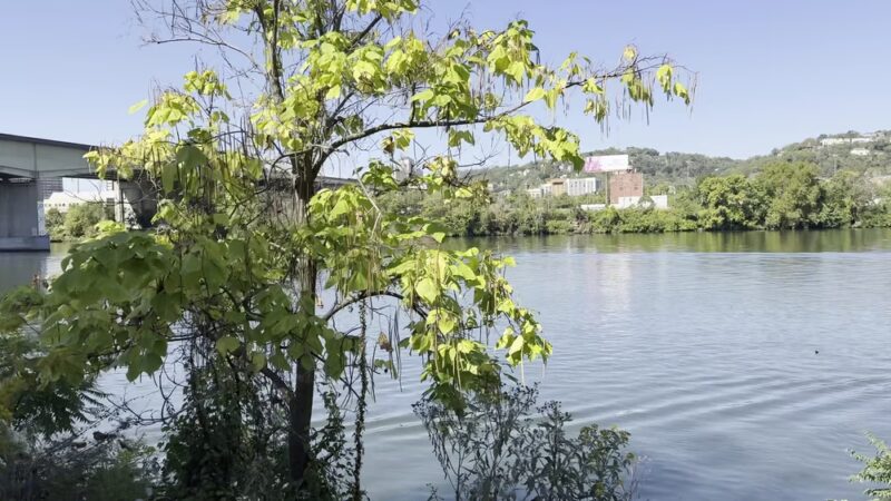 Allegheny River Trail - Pittsburgh, PA