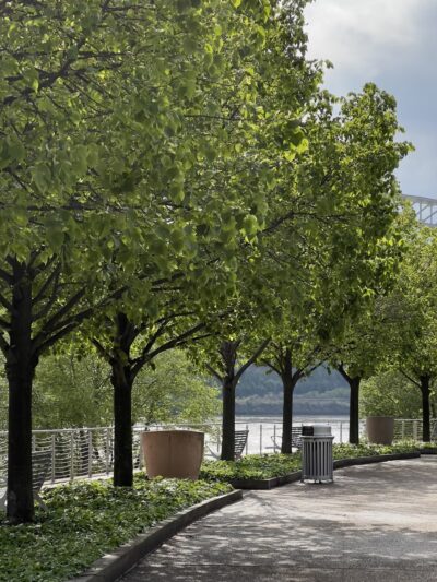 Allegheny River Trail - Pittsburgh, PA