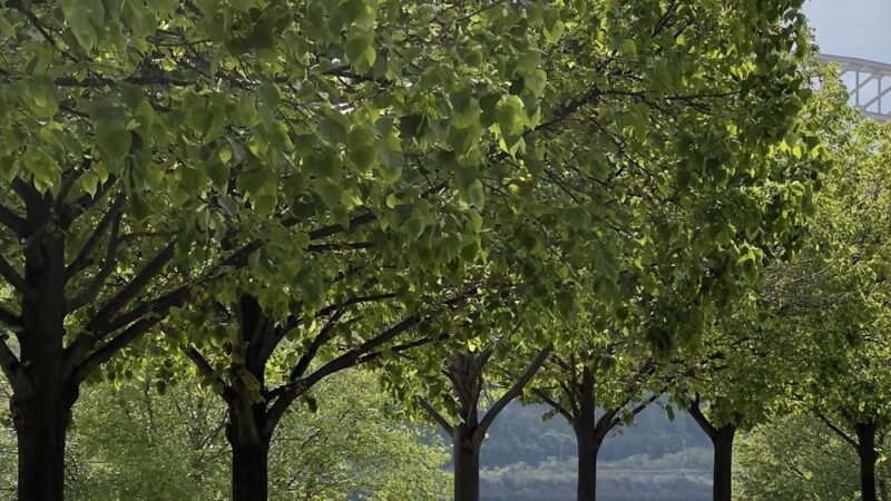 Allegheny River Trail - Pittsburgh, PA