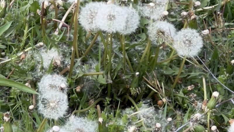 Allegheny River Trail - Pittsburgh, PA