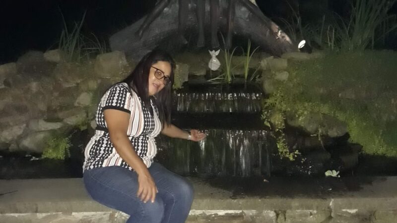 Ann Allison Hoover Park - Pittsburgh, PA