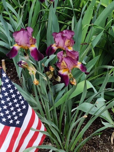 Ann Allison Hoover Park - Pittsburgh, PA