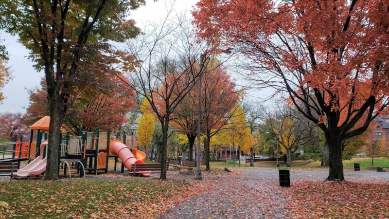 Arsenal Park - Pittsburgh, PA