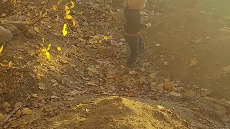 Bayne Park - Pittsburgh, PA