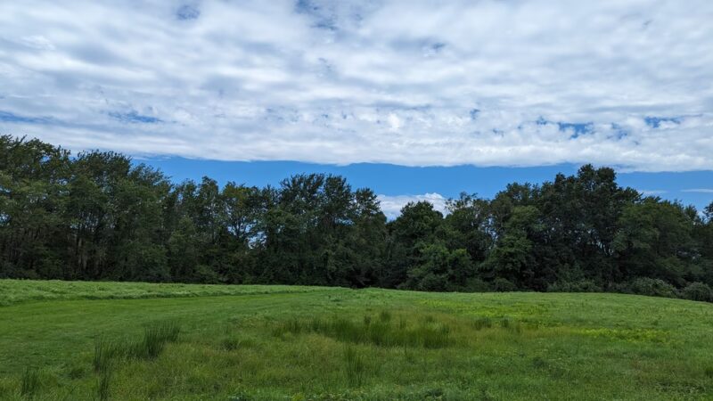 Bigbee Field - Pittsburgh, PA