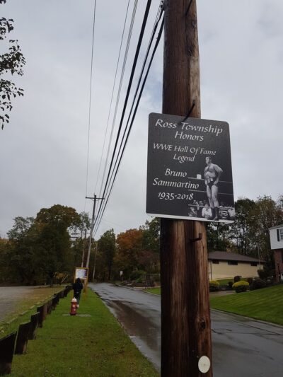 Bruno Sammartino Park - Pittsburgh, PA