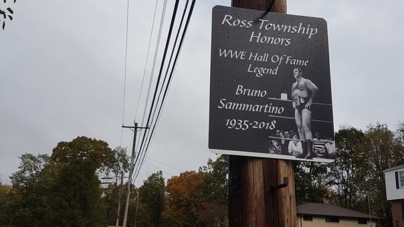 Bruno Sammartino Park - Pittsburgh, PA