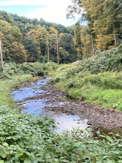 Eagle Canyon Nature Trail - Pittsburgh, PA