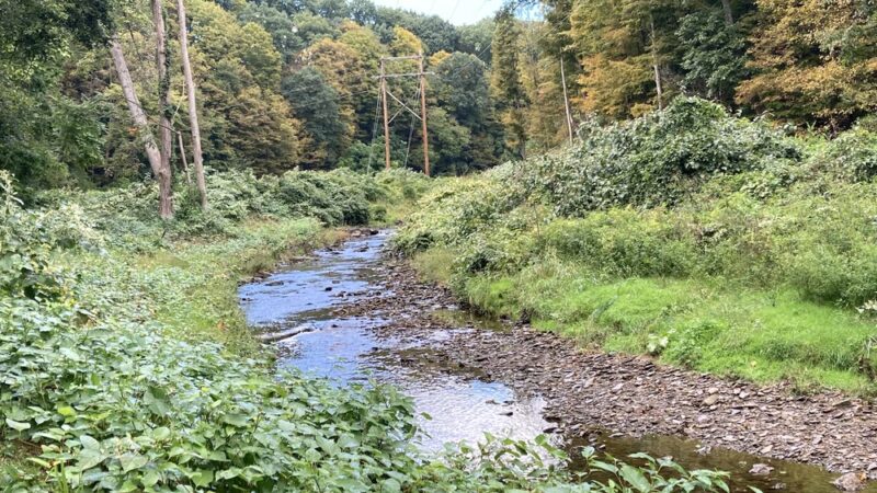 Eagle Canyon Nature Trail - Pittsburgh, PA