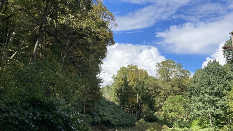Eagle Canyon Nature Trail - Pittsburgh, PA