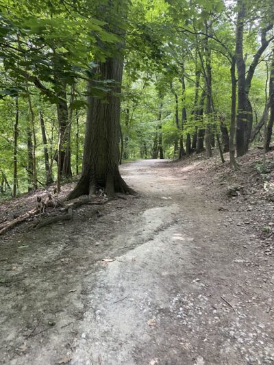 East Gate of Hawthorne Trail - Pittsburgh, PA