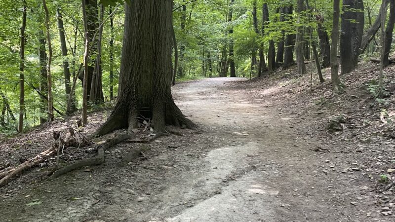 East Gate of Hawthorne Trail - Pittsburgh, PA