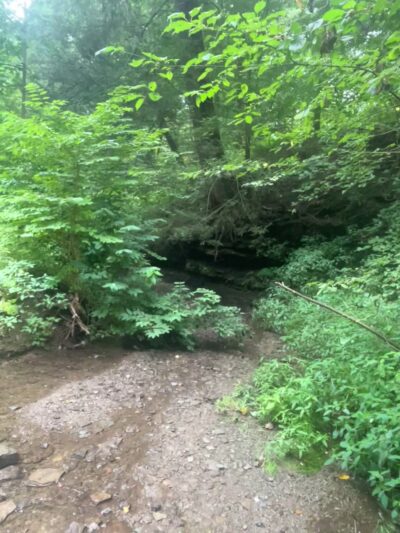 Eliza Fox Trail Park - Pittsburgh, PA