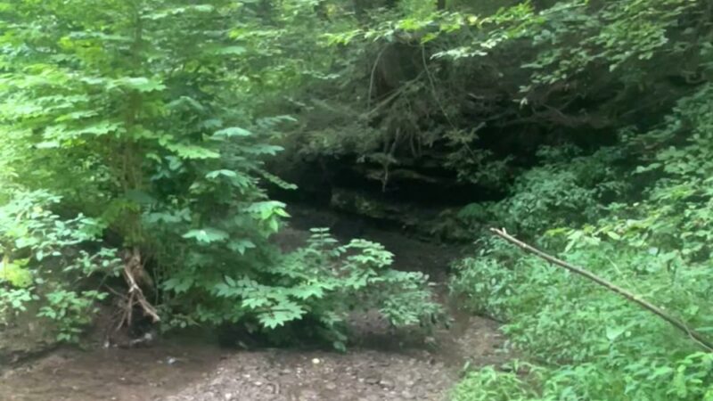 Eliza Fox Trail Park - Pittsburgh, PA