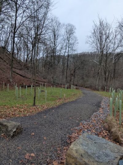 Eliza Fox Trail Park - Pittsburgh, PA