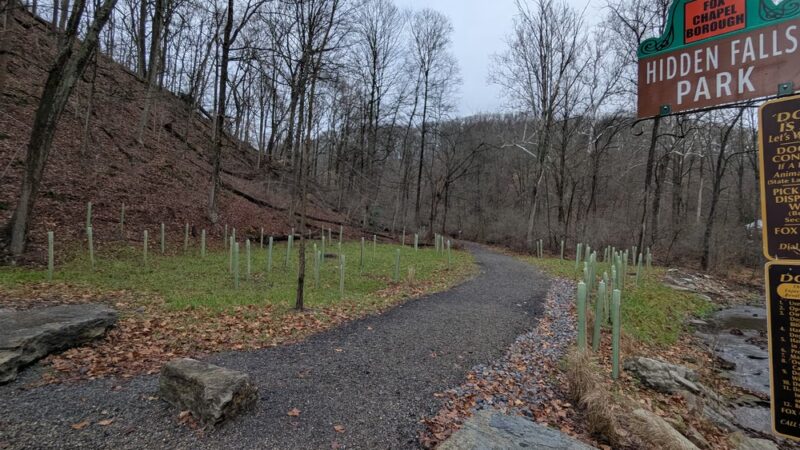 Eliza Fox Trail Park - Pittsburgh, PA