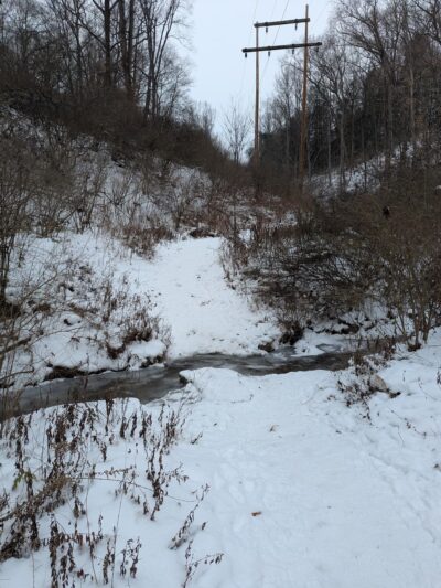 Eliza Fox Trail Park - Pittsburgh, PA