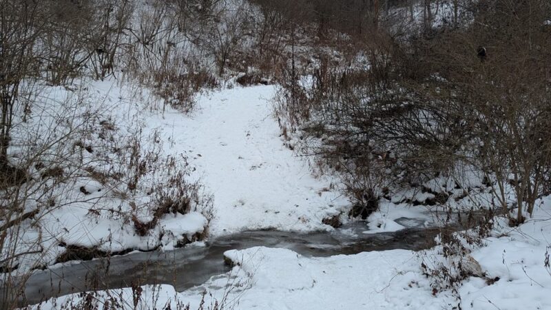 Eliza Fox Trail Park - Pittsburgh, PA