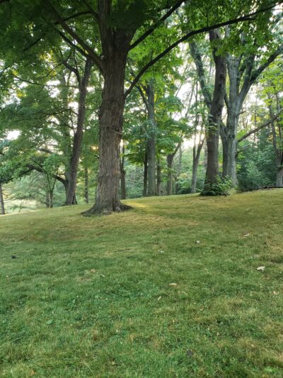 Emilys Park - Pittsburgh, PA