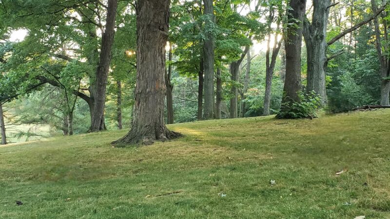 Emilys Park - Pittsburgh, PA