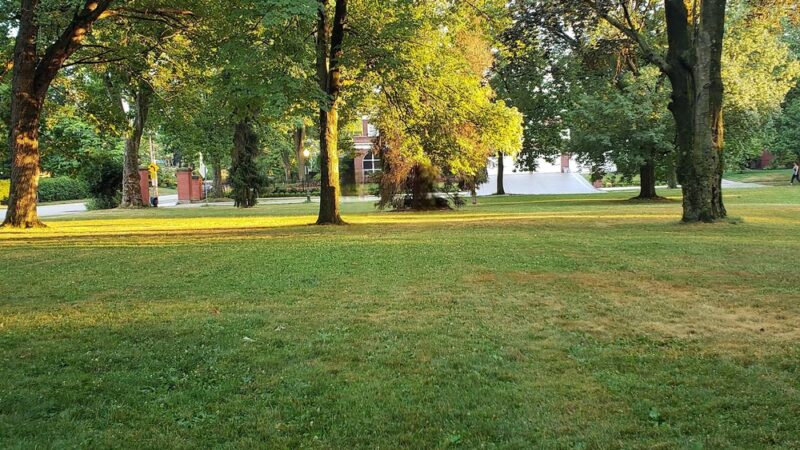 Emilys Park - Pittsburgh, PA
