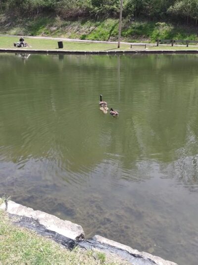 Evergreen Community Park - Pittsburgh, PA