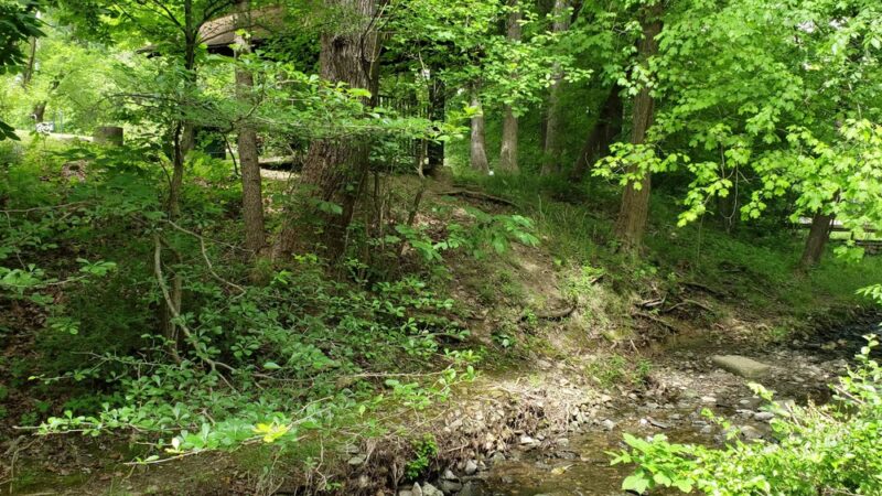 Forest Hills Park - Pittsburgh, PA