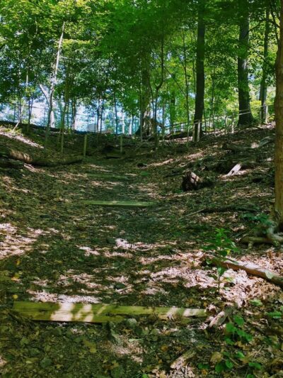 Forest Hills Park - Pittsburgh, PA