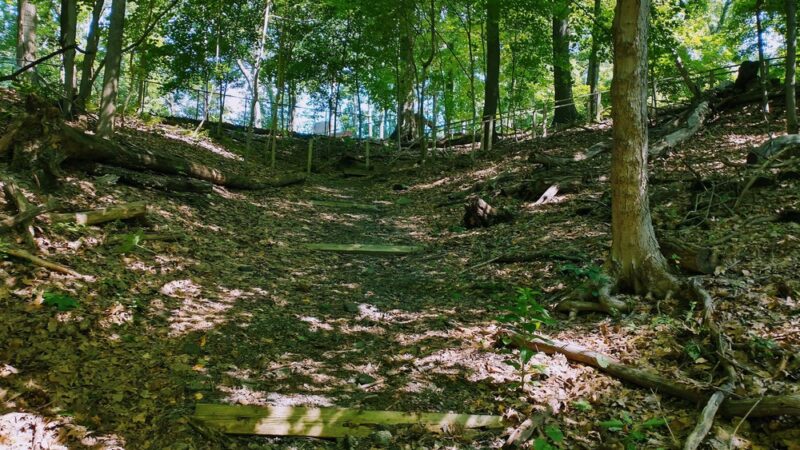 Forest Hills Park - Pittsburgh, PA